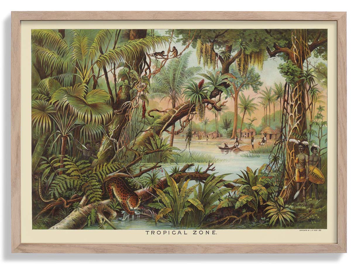 tropical-zone-educational-vintage-poster-us-9742169506115_0.jpg