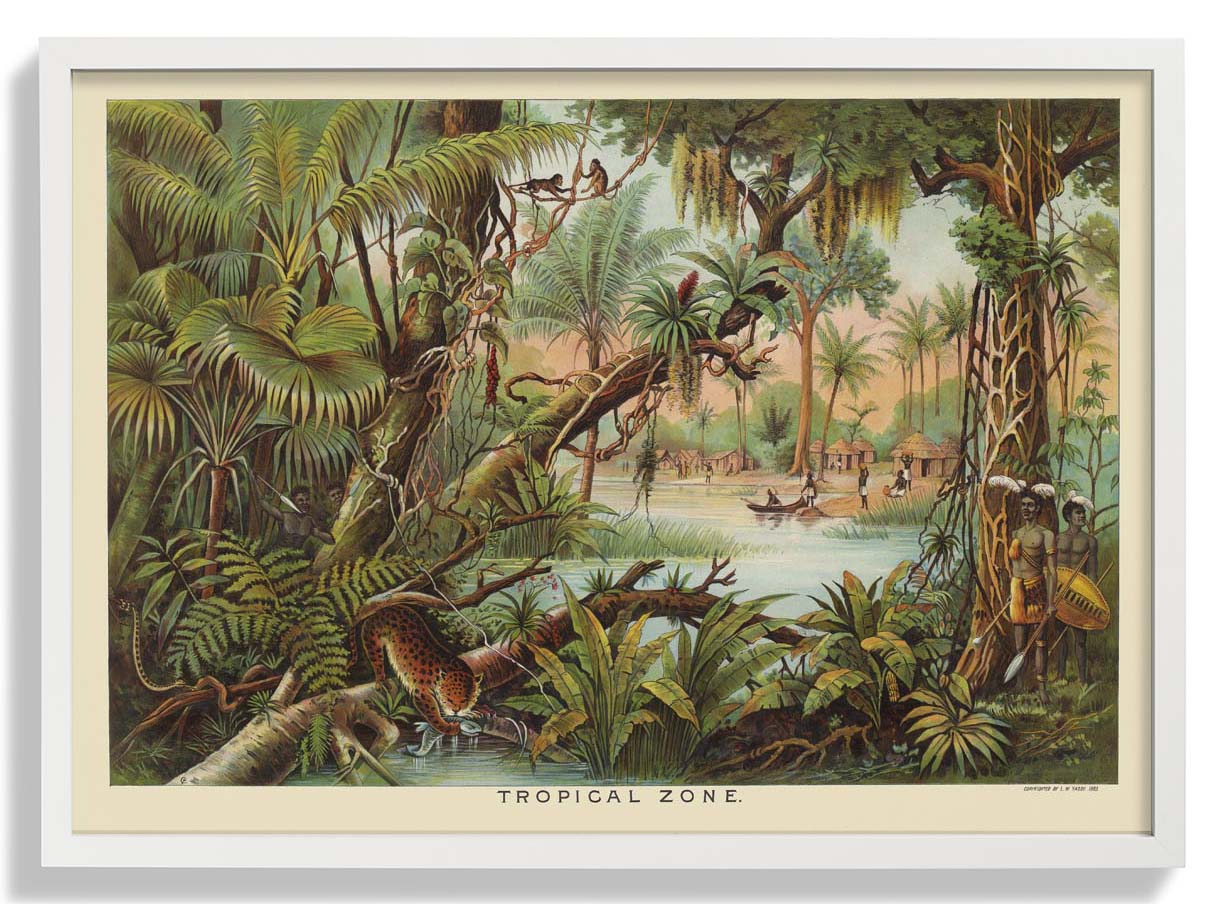 tropical-zone-educational-vintage-poster-us-9742169506115_1.jpg