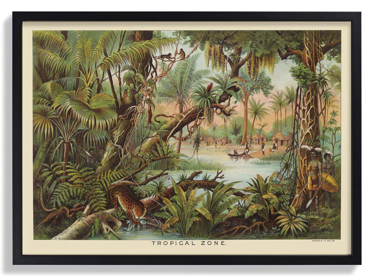 tropical-zone-educational-vintage-poster-us-9742169506115_2.jpg