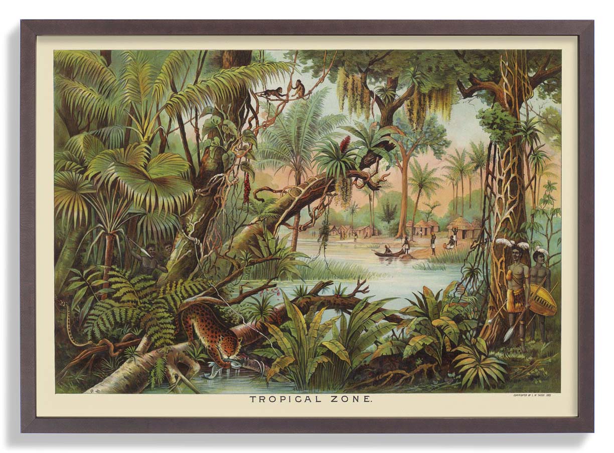 tropical-zone-educational-vintage-poster-us-9742169506115_3.jpg