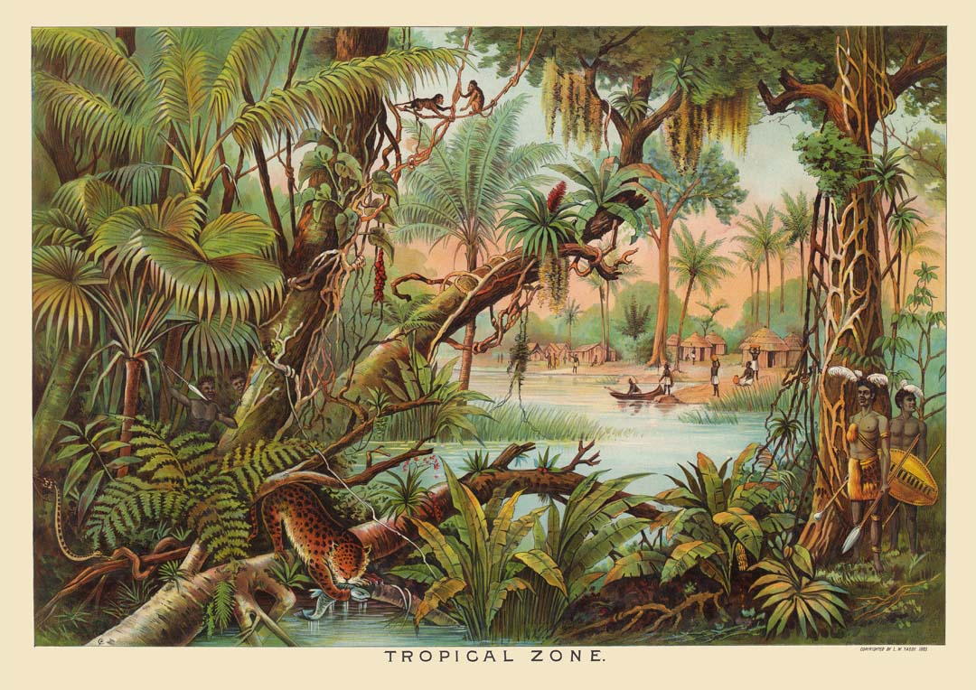 tropical-zone-educational-vintage-poster-us-9742169506115_4.jpg