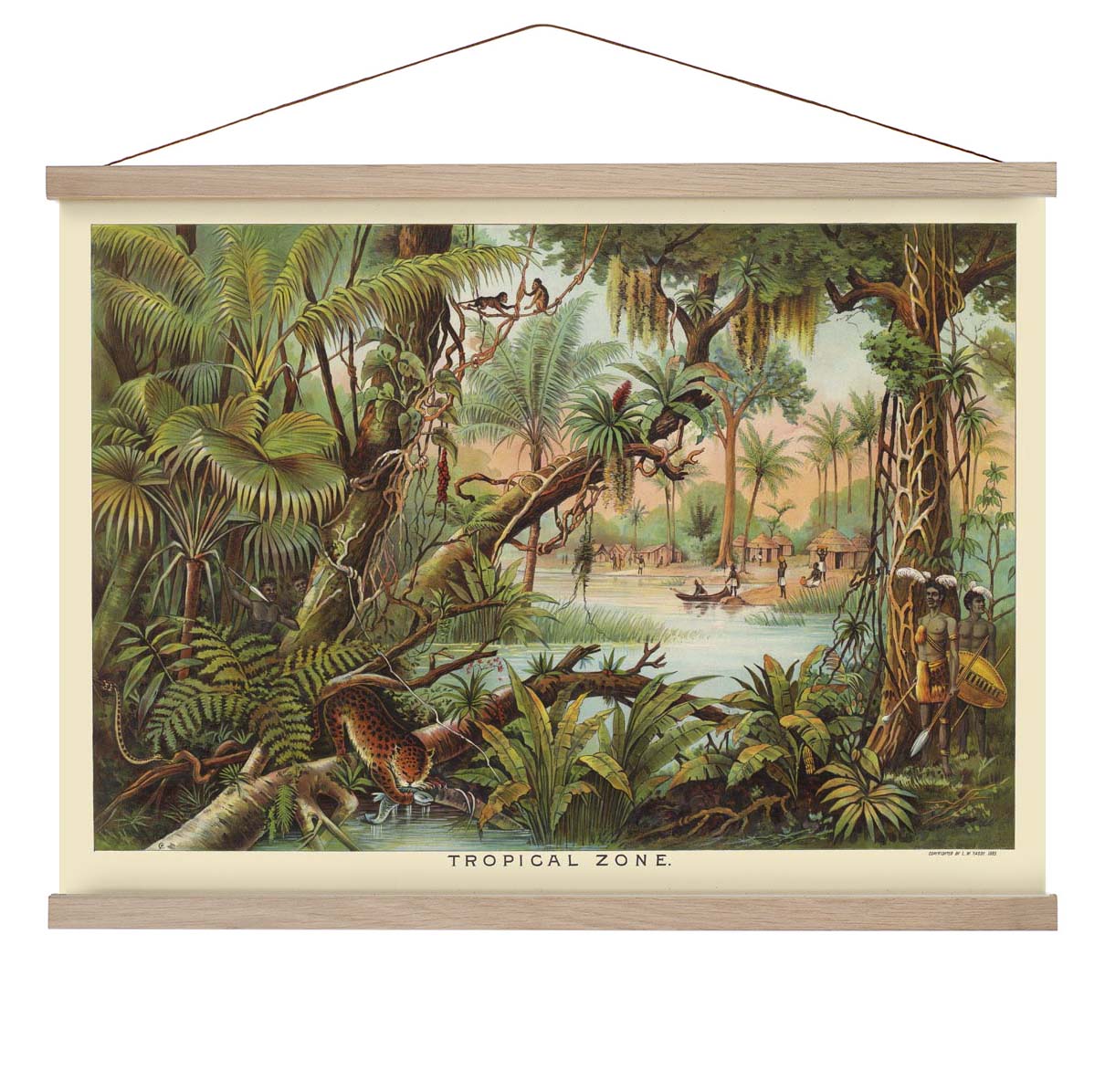 tropical-zone-educational-vintage-poster-us-9742169506115_5.jpg