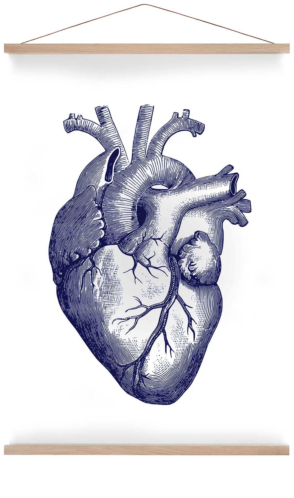 blaues-herz-anatomisches-poster-us-9741405815107_5.jpg