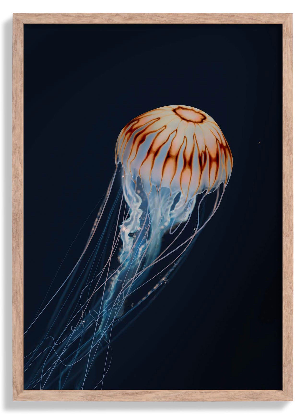 sparkling-horizon-jellyfish-von-julia-charlott-us-9742037451075_0.jpg