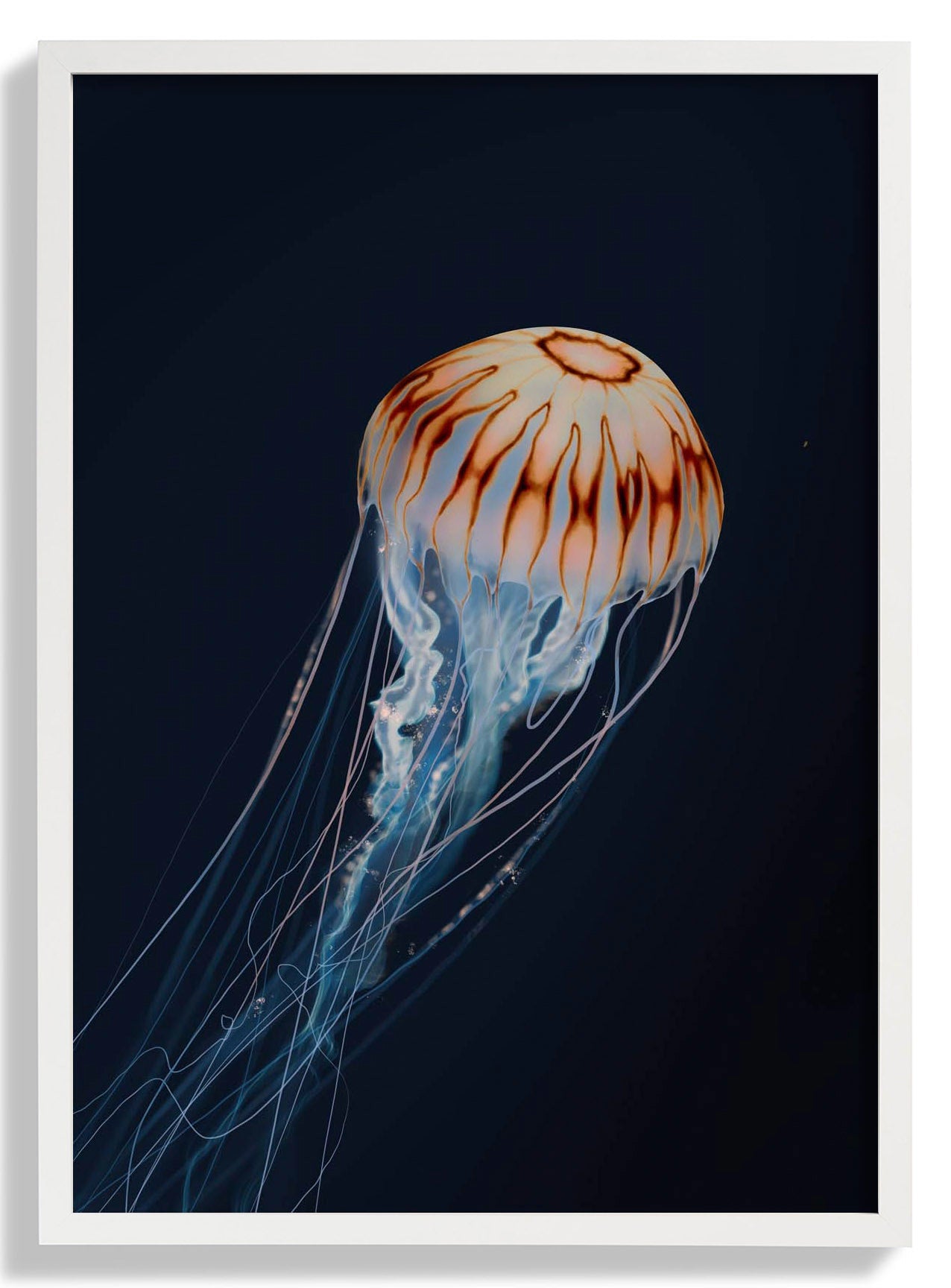 sparkling-horizon-jellyfish-von-julia-charlott-us-9742037451075_1.jpg