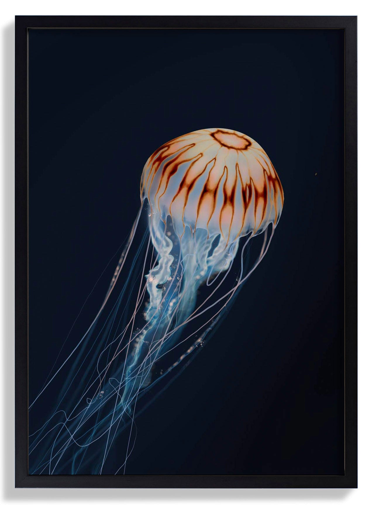 sparkling-horizon-jellyfish-von-julia-charlott-us-9742037451075_2.jpg