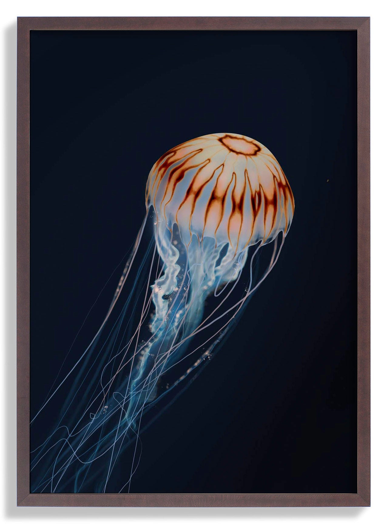 sparkling-horizon-jellyfish-von-julia-charlott-us-9742037451075_3.jpg