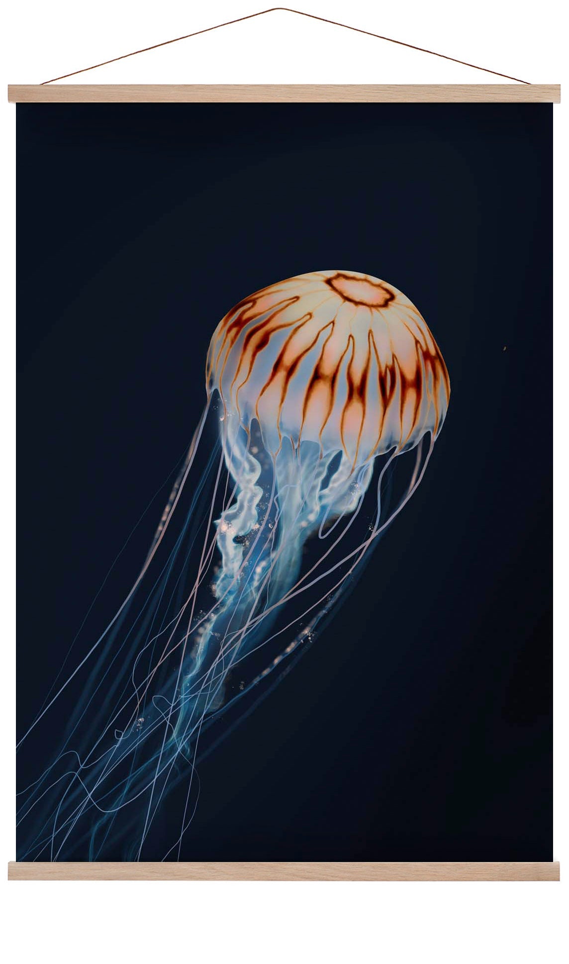 sparkling-horizon-jellyfish-von-julia-charlott-us-9742037451075_5.jpg